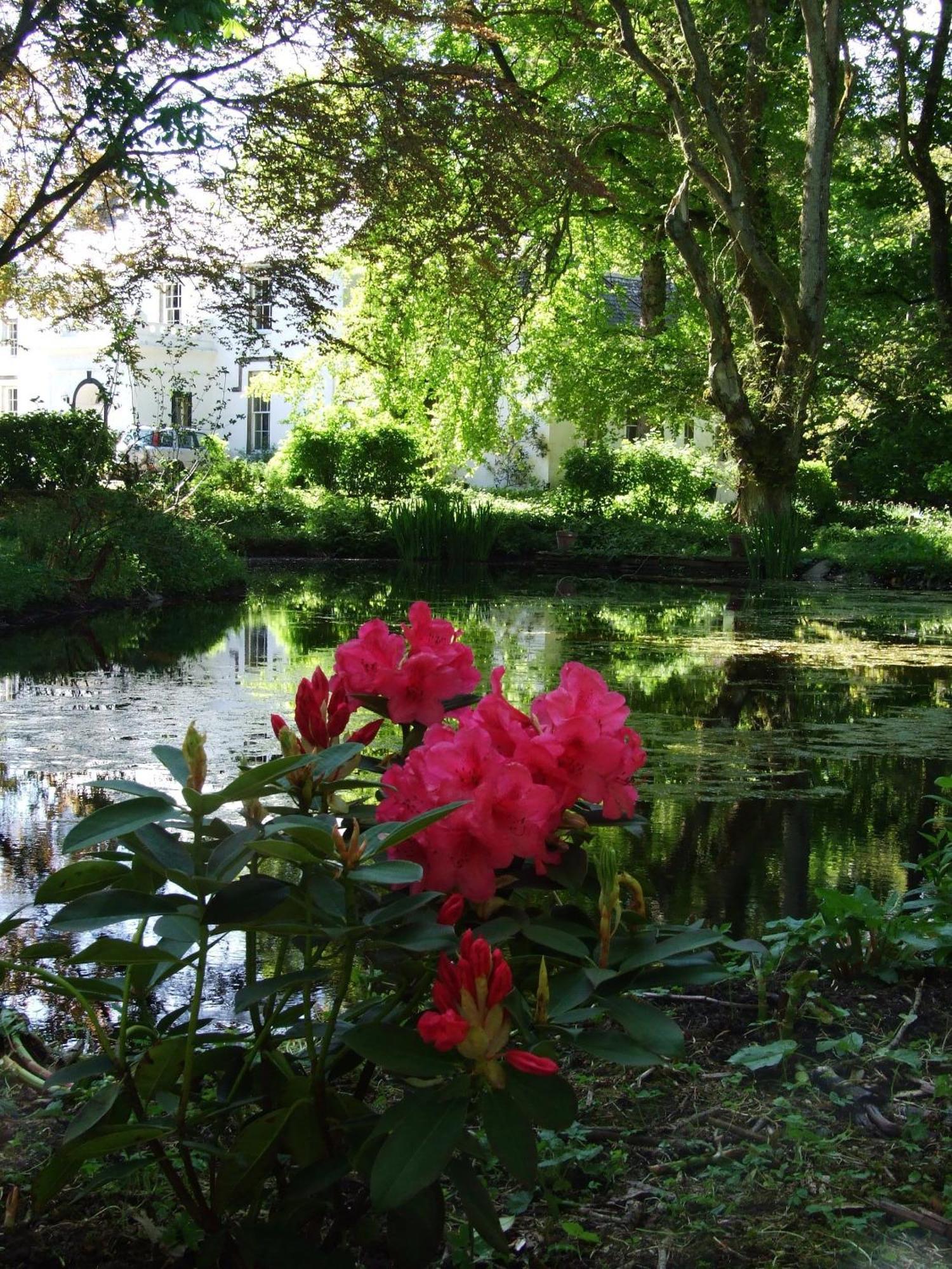 Thrumster House Wick  Eksteriør billede